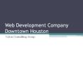 Web Development Company Downtown Houston VCG PowerPoint PPT Presentation