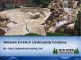 Reasons to Hire A Landscaping Company PowerPoint PPT Presentation