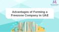 Advantages of Forming a Freezone Company in UAE PowerPoint PPT Presentation