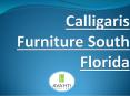 Calligaris Furniture South Florida PowerPoint PPT Presentation