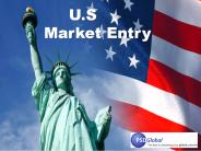 US Market Entry Services PSD Global