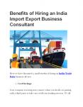 Benefits of Hiring an India Import Export Business Consultant PowerPoint PPT Presentation