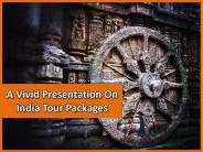A Vivid Presentation On India Tour Packages
