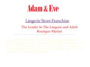 Lingerie Store Franchise Opportunity