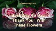 Best Way To Say “Thank You” With These Flowers