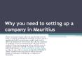 Why you need to setting up a company in Mauritius PowerPoint PPT Presentation
