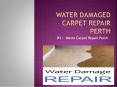 Affordable Carpet Water Damage Repairs Perth| Water Damaged Carpet Services (1) PowerPoint PPT Presentation