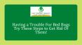 Having a Trouble For Bed Bugs Try These Steps to Get Rid Of Them! PowerPoint PPT Presentation