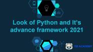 Look of Python and it's advance framework 2021