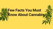 Few Facts You Must Know About Cannabis