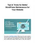 Tips & Tricks for Better WordPress Maintenance for Your Website PowerPoint PPT Presentation