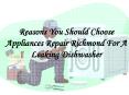 Reasons You Should Choose Appliances Repair Richmond For A Leaking Dishwasher PowerPoint PPT Presentation