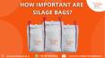 How Important are Silage Bags? PowerPoint PPT Presentation