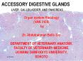 Accessory digestive system PowerPoint PPT Presentation