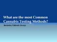 What are the most Common Cannabis Testing Methods? PowerPoint PPT Presentation