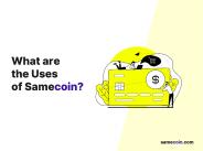 What are the uses of Samecoin
