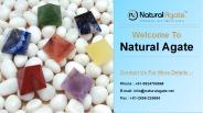 Gem Trees Wholesale