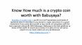 Know How much is a crypto coin worth with Babuyaya?