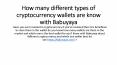 How many different types of cryptocurrency wallets are know with Babuyaya