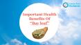 Important Health Benefits of "Bay Leaf" PowerPoint PPT Presentation