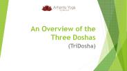 An Overview of the Three Doshas (TriDosha)