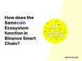 Does Samecoin Ecosystem function in Binance Smart Chain PowerPoint PPT Presentation