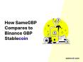 SameGBP vs Binance GBP Stablecoin (BGBP) PowerPoint PPT Presentation