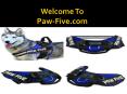 Retractable Dog Leash in Round Rock PowerPoint PPT Presentation