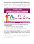 PPC Advertising & Management Florida Search Engine Market PowerPoint PPT Presentation