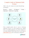 Complete Guide on Minimum Viable Product