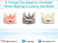 6 Things You Need to Consider When Buying a Luxury Cat Beds