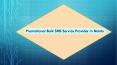 Promotional Bulk SMS Service Provider in Noida