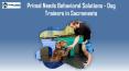 Primal Needs Behavioral Solutions - Dog Trainers in Sacramento PowerPoint PPT Presentation