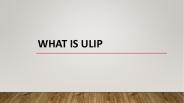 what is ulip