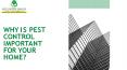 Why is Pest Control Important For Your Home PowerPoint PPT Presentation