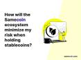 How will Samecoin minimize my risk when holding stablecoins PowerPoint PPT Presentation