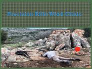 Precision  Rifle , Wind Clinic