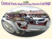 centralparkcarriages