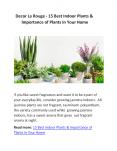 Decor La Rouge - 15 Best Indoor Plants & Importance of Plants In Your Home PowerPoint PPT Presentation