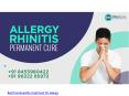 Best homeopathy treatment for allergy PowerPoint PPT Presentation