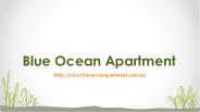 Ocean View Apartment Queensland (2)