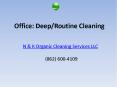 N & K Organic Cleaning Services LLC PowerPoint PPT Presentation