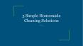 5 Simple Homemade Cleaning Solutions PowerPoint PPT Presentation