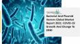 Global Bacterial And Plasmid Vectors Market Size And COVID-19 Impact Analysis | Forecast to 2030 PowerPoint PPT Presentation