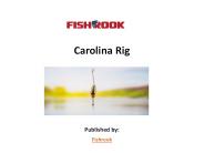 Carolina Rig