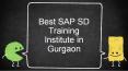 Best SAP SD Training Institute in Gurgaon PowerPoint PPT Presentation