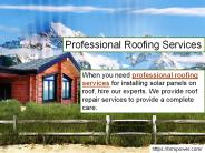 Professional Roofing Services