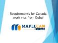 Requirements for Canada work visa from Dubai PowerPoint PPT Presentation