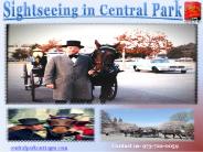 centralparkcarriages (1)