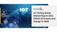 Global IoT Testing Market Opportunities And Strategies To 2030 PowerPoint PPT Presentation